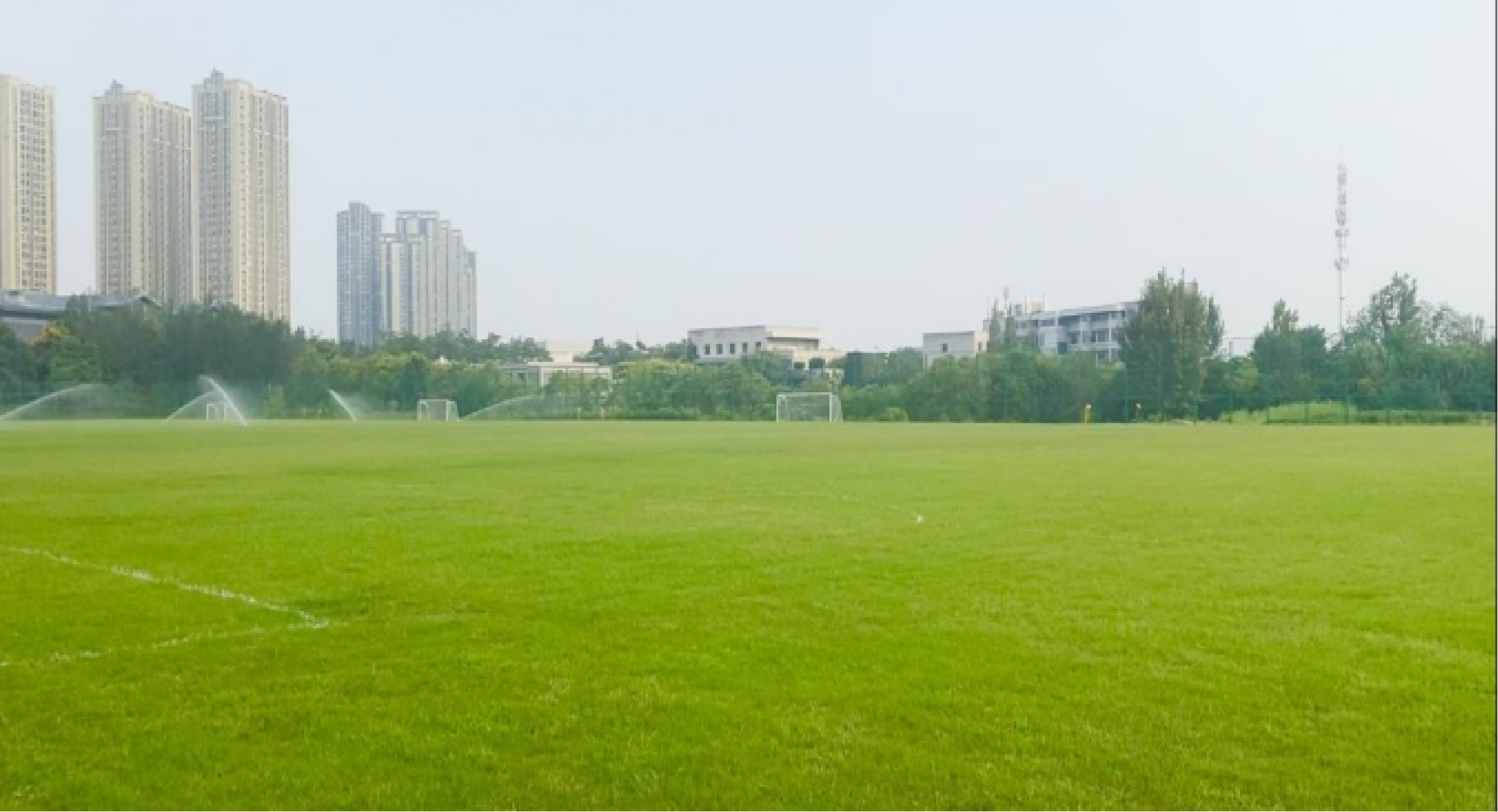 锦江仁德活动展示